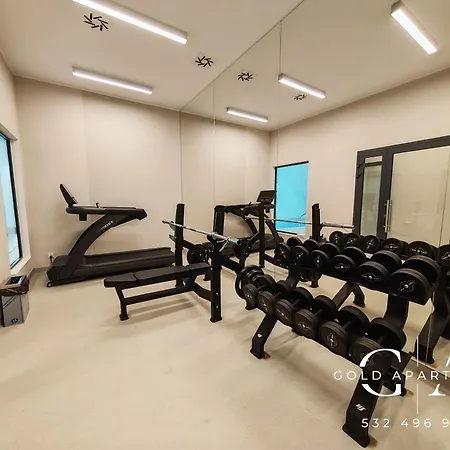 Gold E47 Let's Sea Baltic Park *