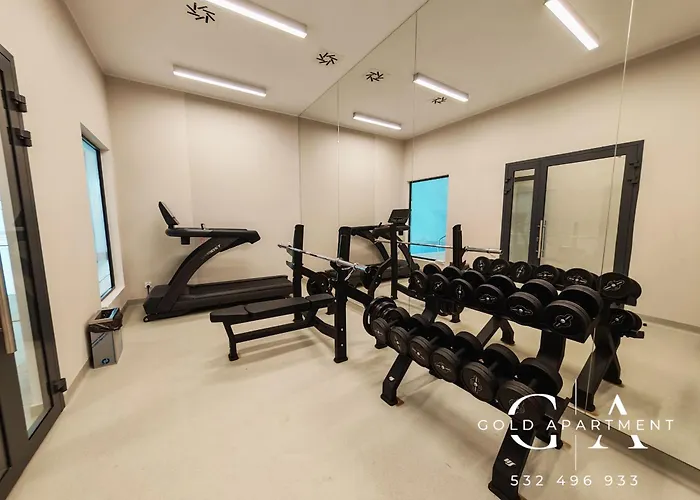 Gold E47 Let's Sea Baltic Park *